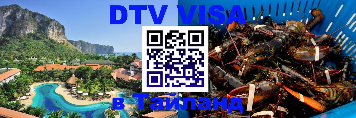 Оформление DTV визы под ключ: стоимость и тарифы, только загранпаспорт - Великий Новгород  04.10.2025 